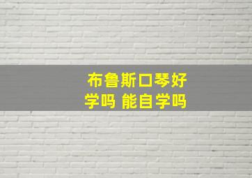 布鲁斯口琴好学吗 能自学吗